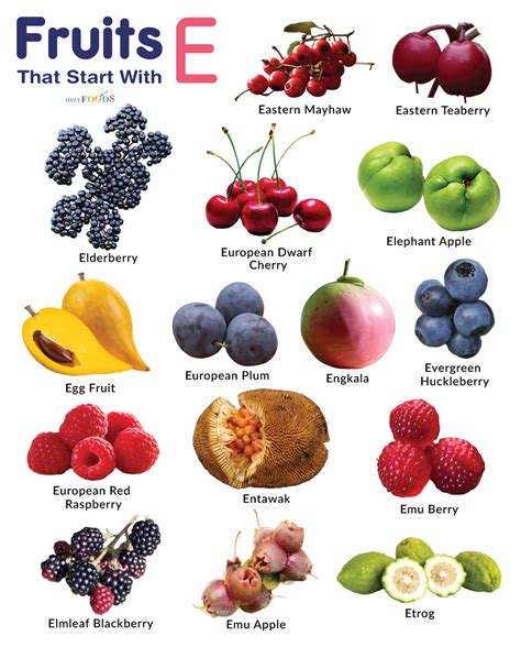 fruit that begins with ex.